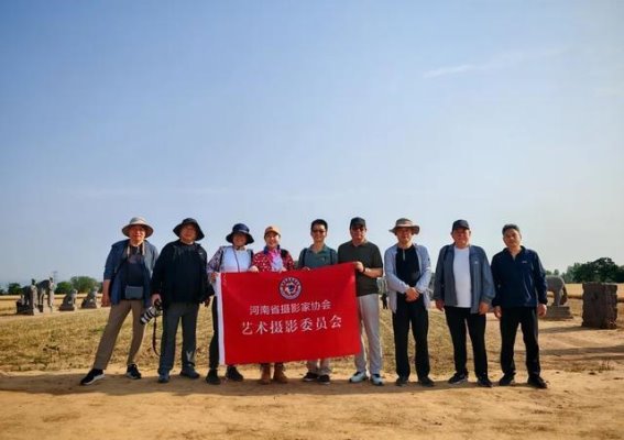 永泰陵：金黄麦田与历史遗迹的交响