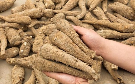 破解中药材销路难题的综合策略