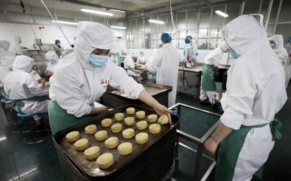 守护胃部健康：科学饮食与生活方式的智慧