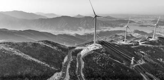 在风的呼唤中蜿蜒前行——丰城荷湖乡的绿色之路