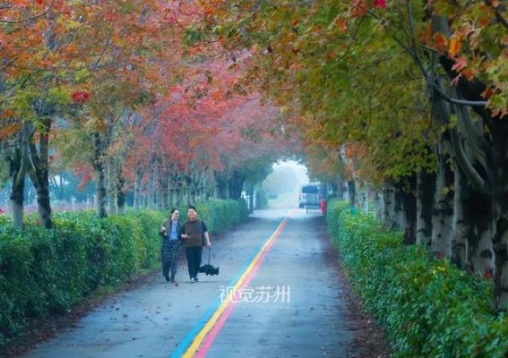 探索苏州与周边的美丽景点：古韵与现代的交织