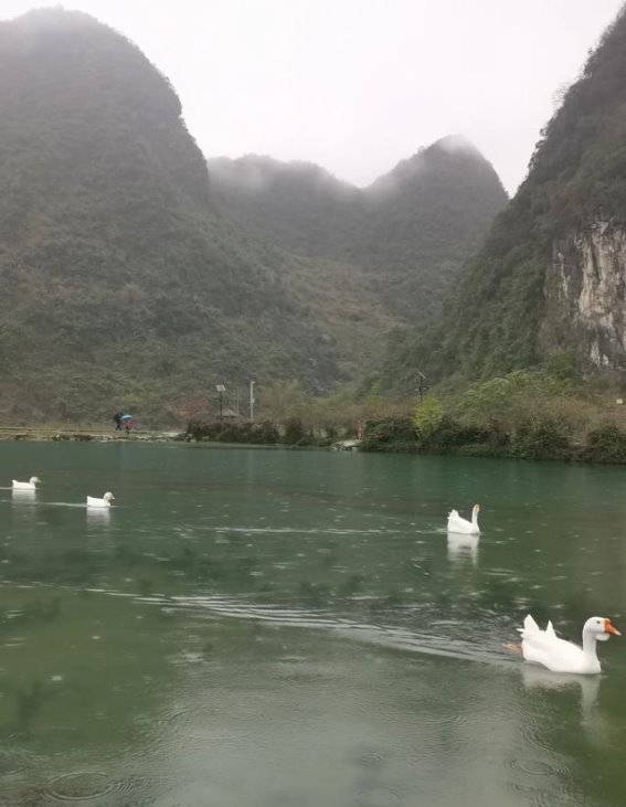 自驾云南第二十七天（上）：从鹅泉的晨雾到浩坤湖的宁静