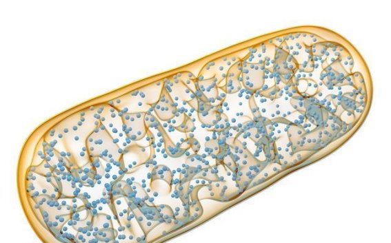 阿尔茨海默病患者为何少得癌症？β淀粉样蛋白的双重作用解密