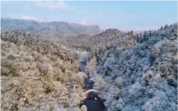 成都雪景已上线，冬日的银白童话