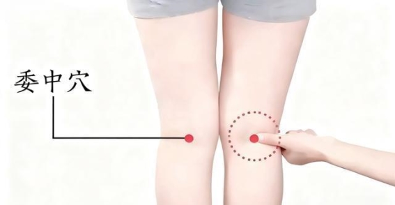 委中穴：解决腰背不适与下肢困扰的关键穴位