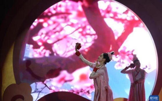 沙漠中的春节情怀：迪拜迎来“亲情中华·四海同春”慰侨演出