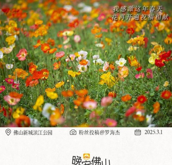 春天在佛山，温暖与希望交织的时光