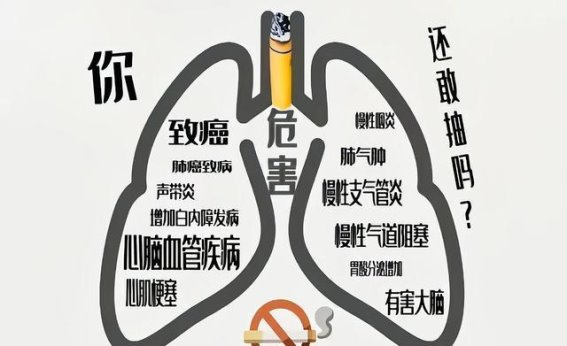 每天一包烟的隐秘伤害：深入解析烟草对健康的威胁