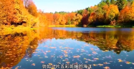 秋日之美，滨湖河的温暖与宁静