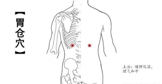 胃仓穴：背部的守护神，胃肠调理的关键