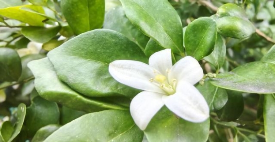 平凡日常中的坚守与反思