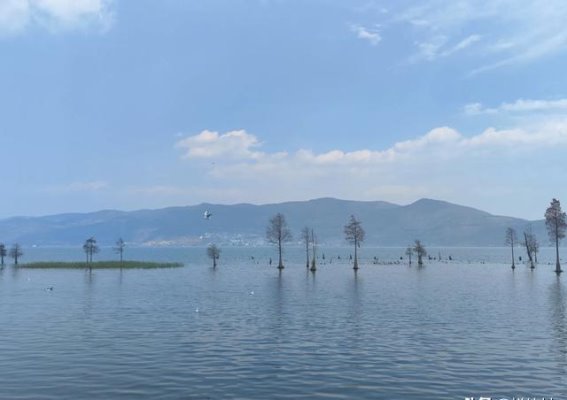 大理，我会再来的