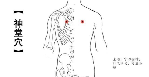 神堂穴：调理脊背与心肺的神奇小穴，缓解背痛与胸闷