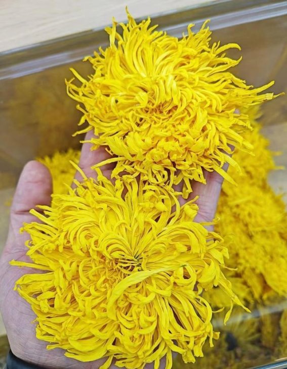 寒露养生必知：多吃五样，少做三事，守护健康度秋冬