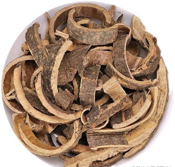 合欢皮：安神的秘密武器，3种搭配稳住你的心神