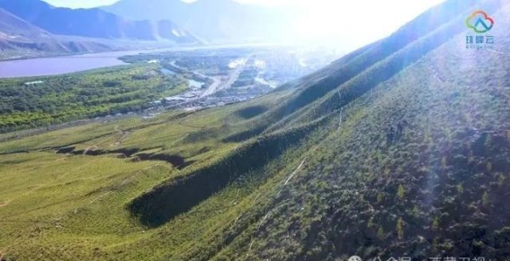 南北山的四季之歌：绿化工程的背后
